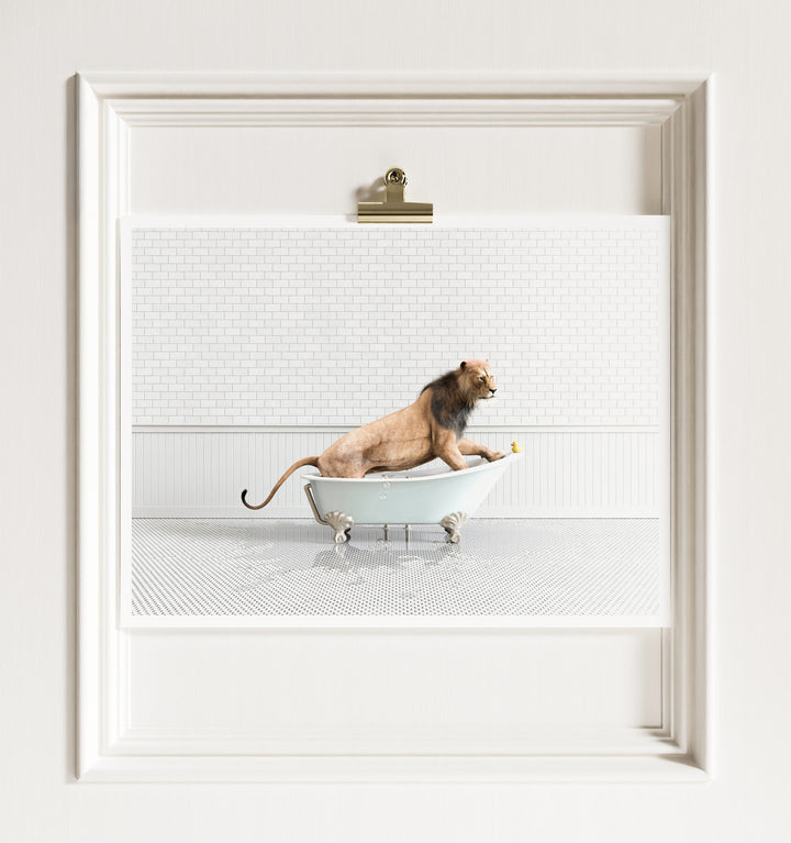 Lion in Blue Bathtub