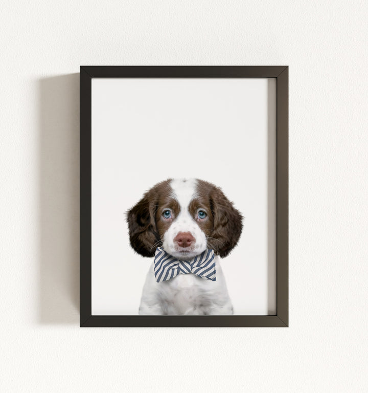 Baby Puppy Springer Spaniel Portrait Framed Art