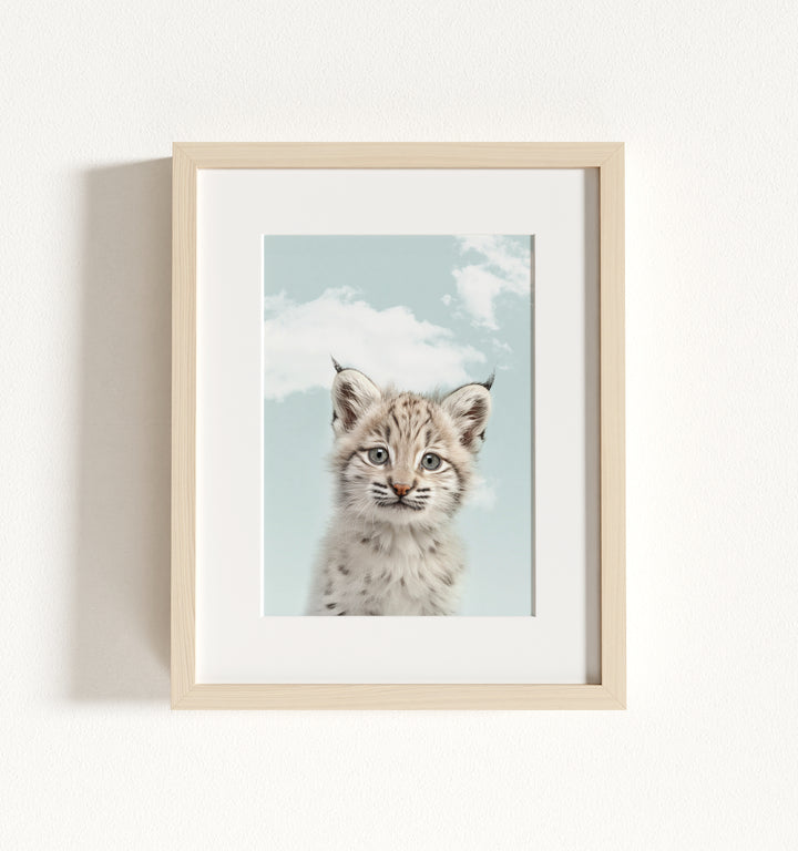 Baby Bobcat Framed Art