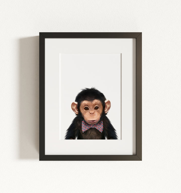 Baby Chimpanzee Framed Art
