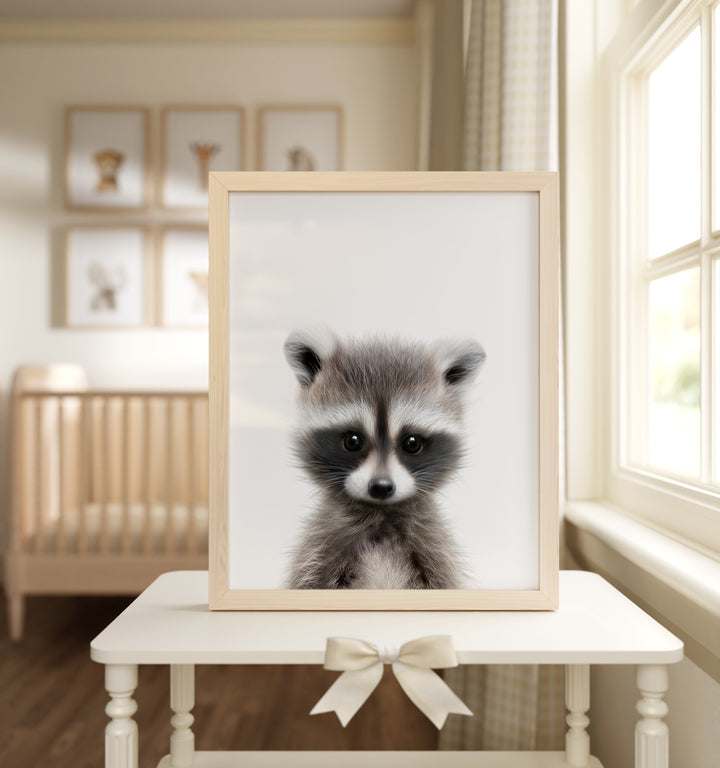 Baby Raccoon Framed Art