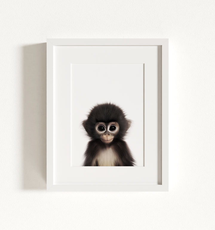 Baby Monkey Framed Art