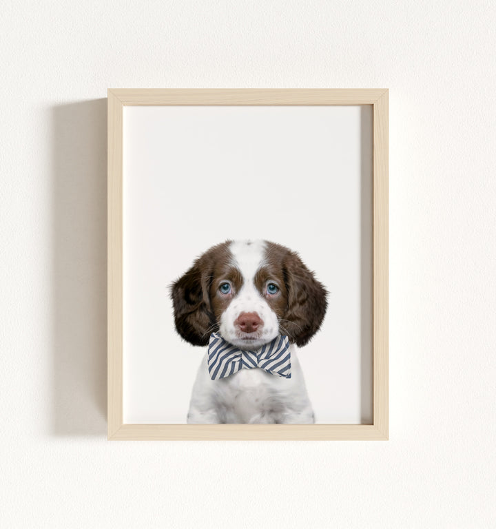 Baby Puppy Springer Spaniel Portrait Framed Art
