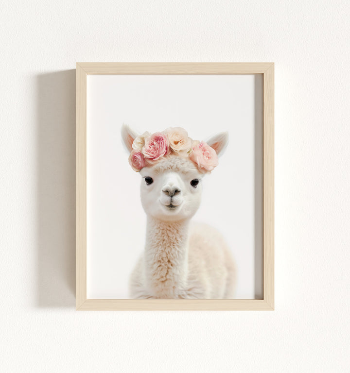 Baby Alpaca Framed Art