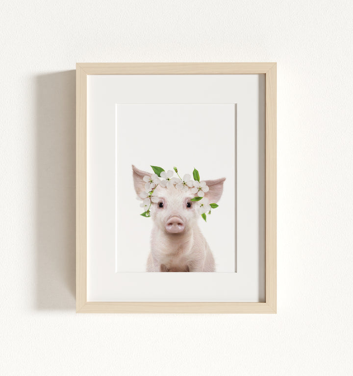 Baby Pig No. 2 Framed Art