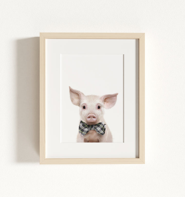 Baby Pig No. 2 Framed Art