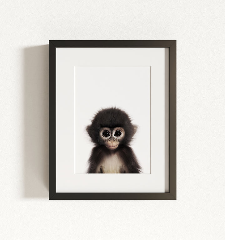Baby Monkey Framed Art