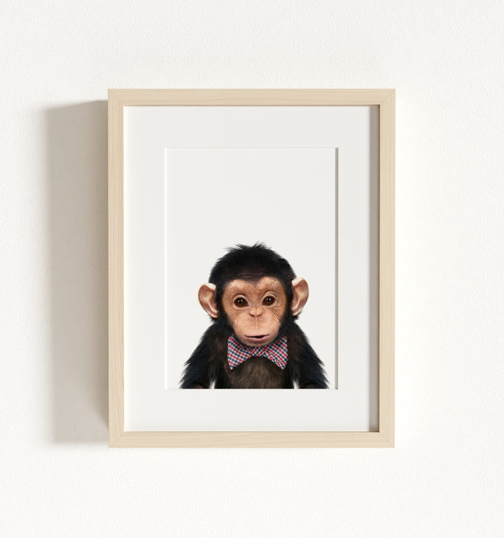 Baby Chimpanzee Framed Art