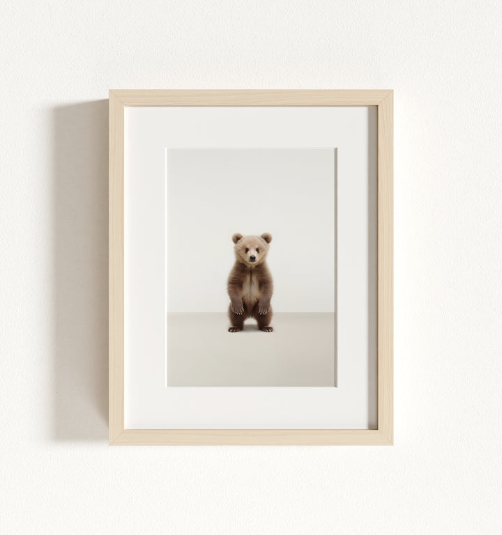 Studio Bear Framed Art