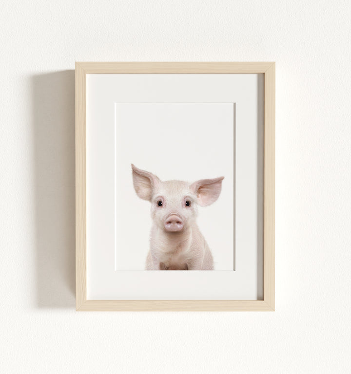 Baby Pig No. 2 Framed Art