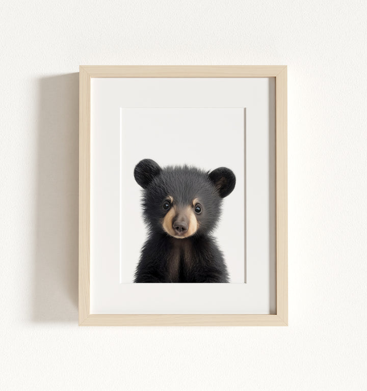 Baby Black Bear Framed Art