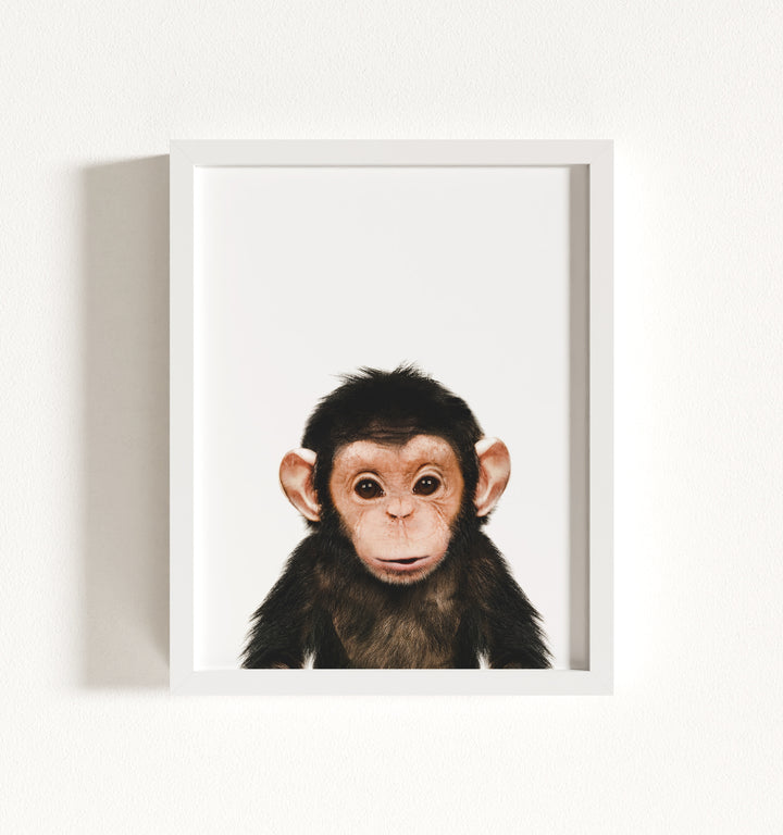 Baby Chimpanzee Framed Art