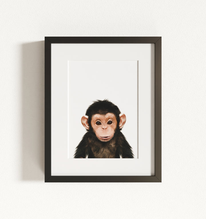 Baby Chimpanzee Framed Art