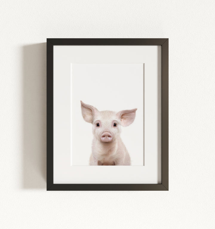 Baby Pig No. 2 Framed Art