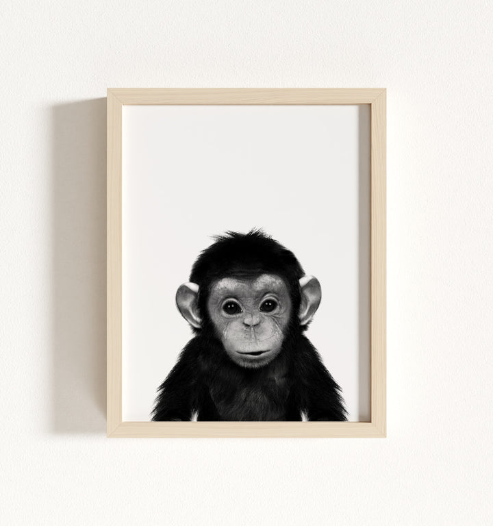 Baby Chimpanzee Framed Art