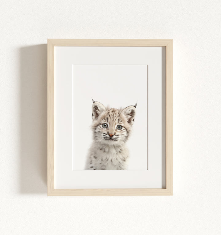Baby Bobcat Framed Art
