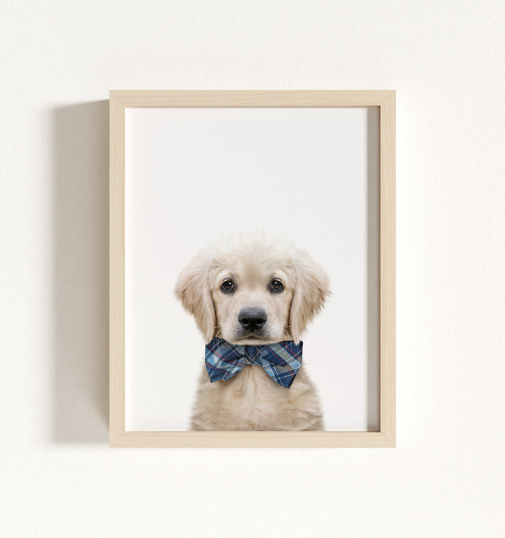 Baby Puppy Golden Retriever Portrait Framed Art