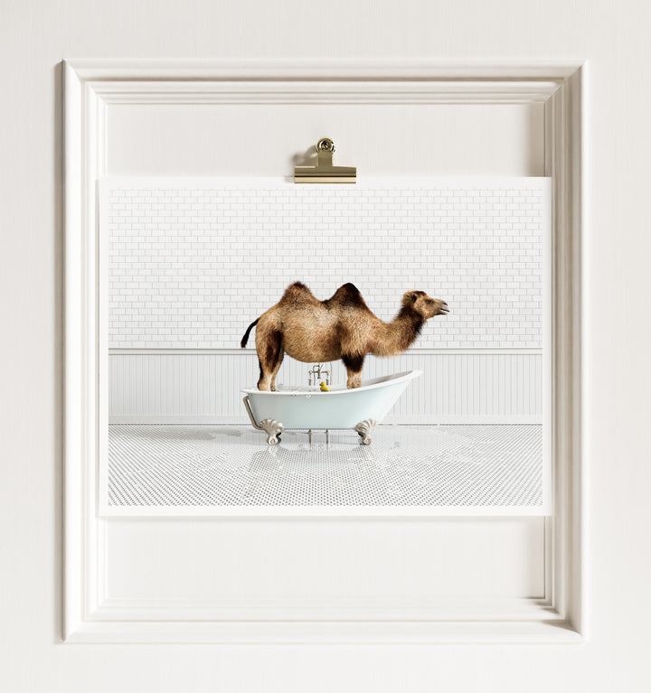 Animals in Bathtubs - Mix and Match Horizontal