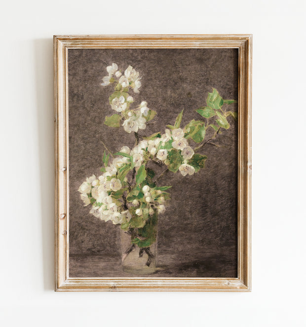 Apple Blossoms Art Print