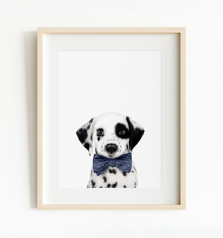 Baby Puppy Dalmatian