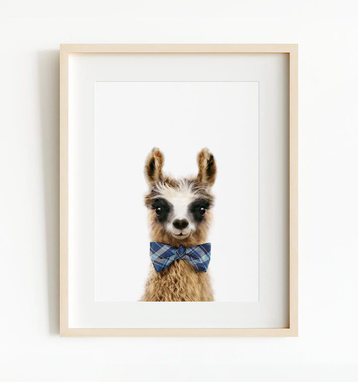 Baby Llama