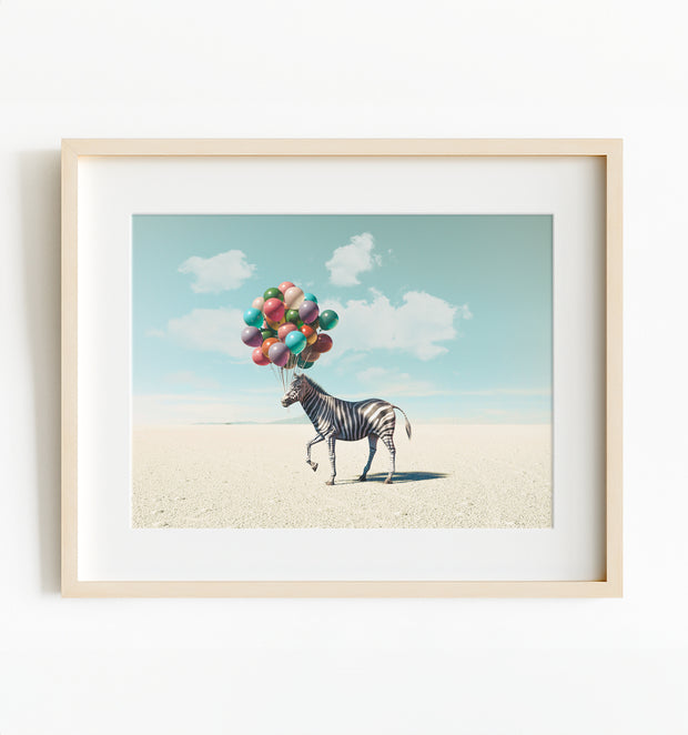 Zebra with Balloons Art Print