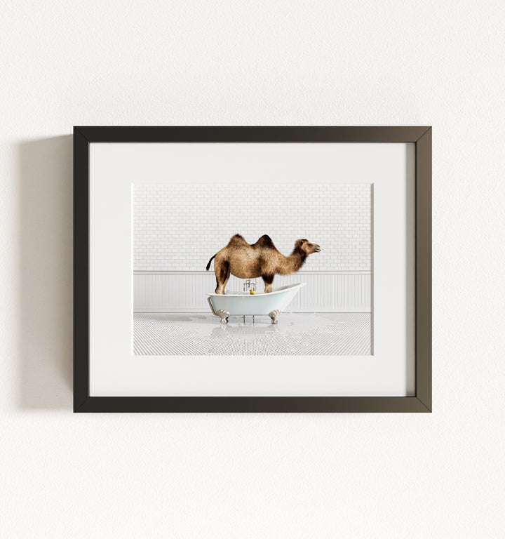 Framed Animals in Bathtubs - Mix and Match Horizontal