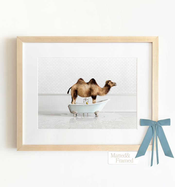 Framed Animals in Bathtubs - Mix and Match Horizontal
