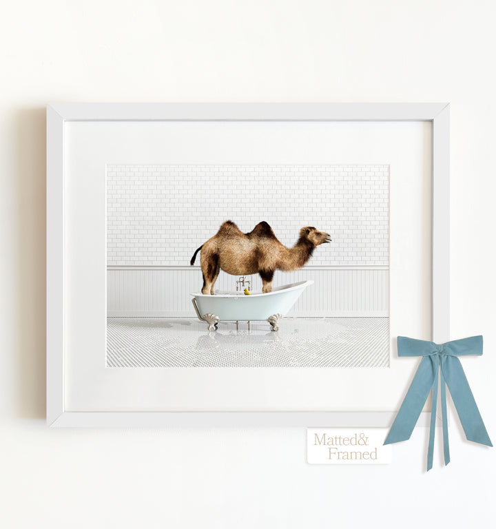 Framed Animals in Bathtubs - Mix and Match Horizontal