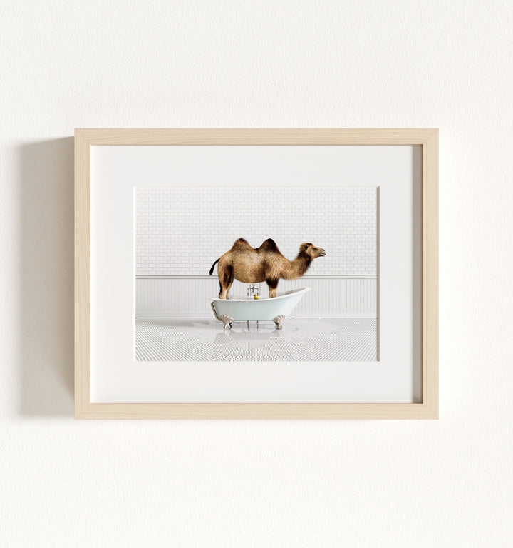 Framed Animals in Bathtubs - Mix and Match Horizontal
