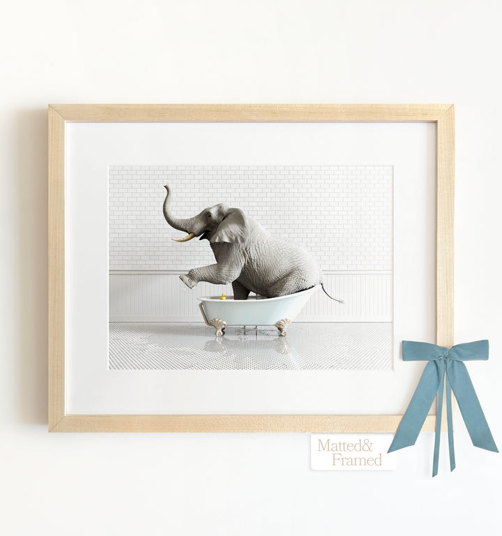 Framed Animals in Bathtubs - Mix and Match Horizontal