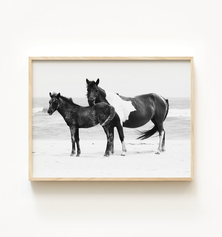 Black & White Mare and Foal