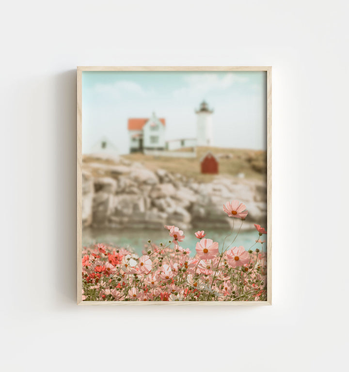 Lighthouse Wildflowers