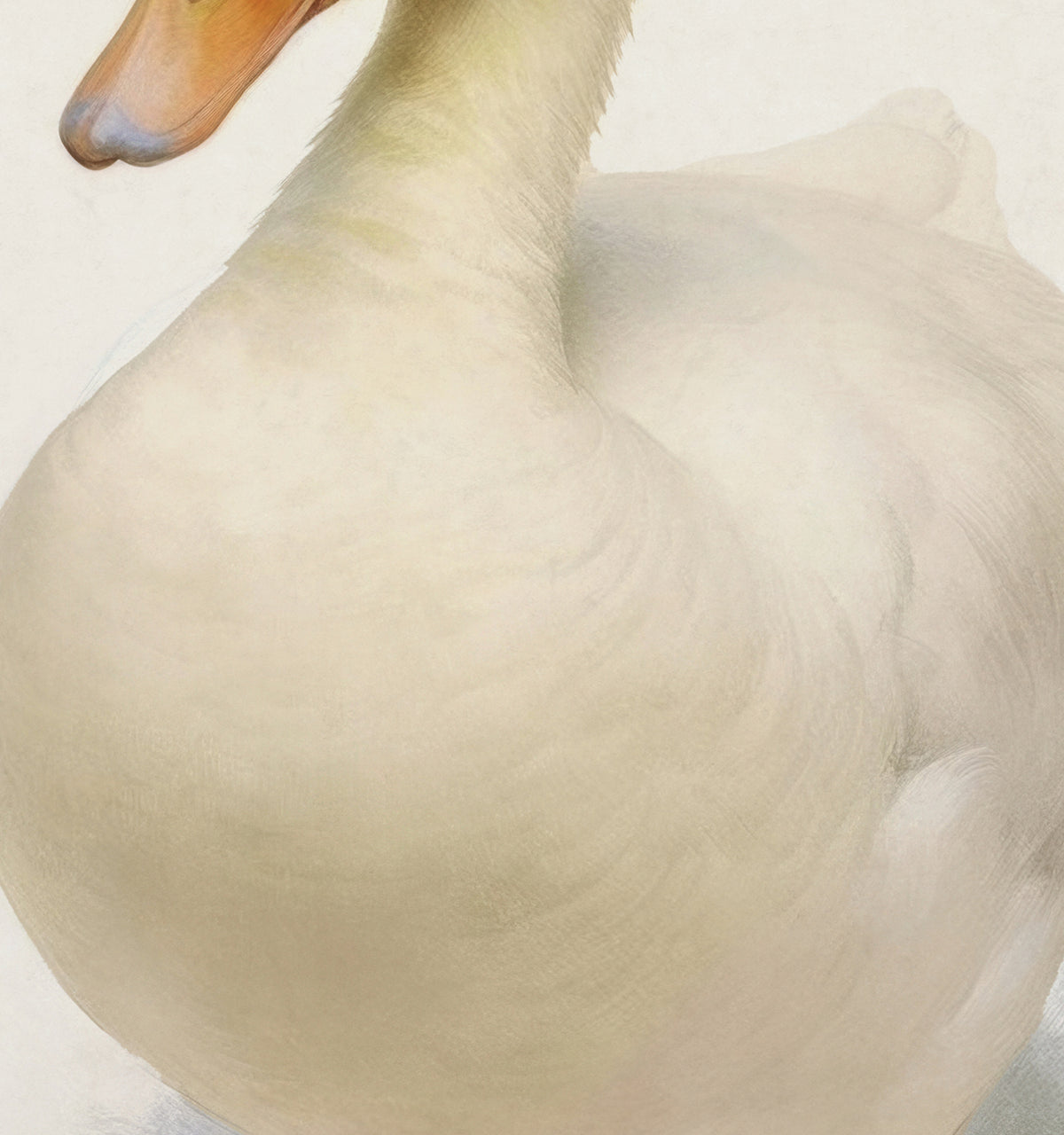 Storybook Duck