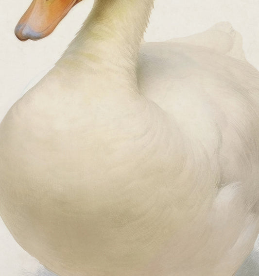 Storybook Duck