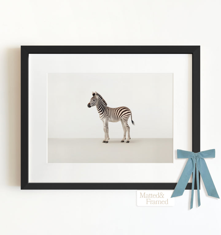 Studio Zebra Framed Art