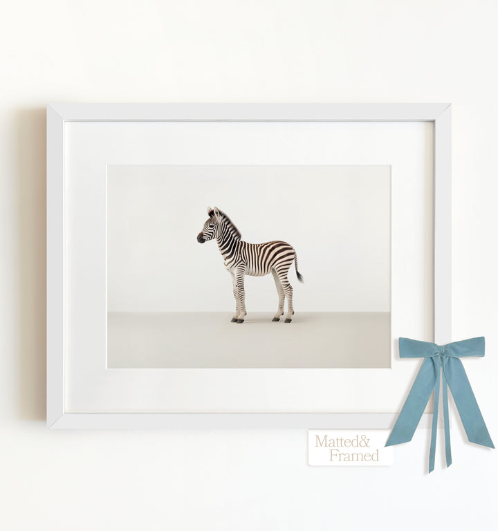 Studio Zebra Framed Art