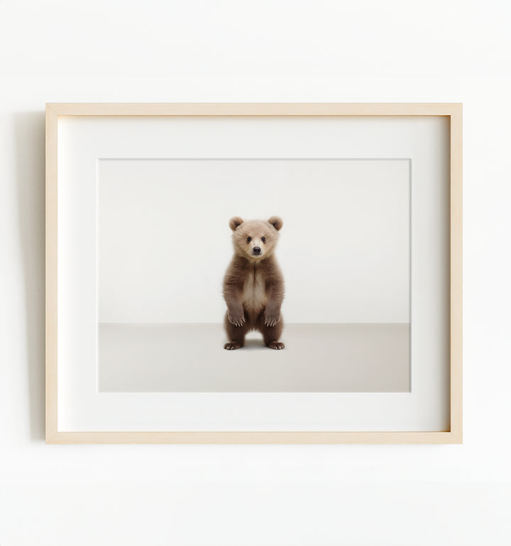 Studio Bear Art Print
