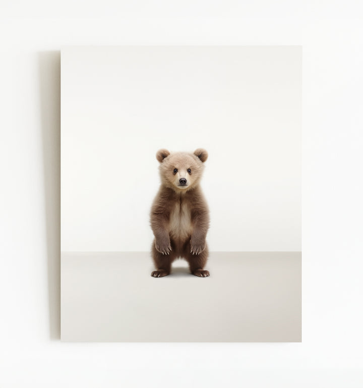 Studio Bear Art Print