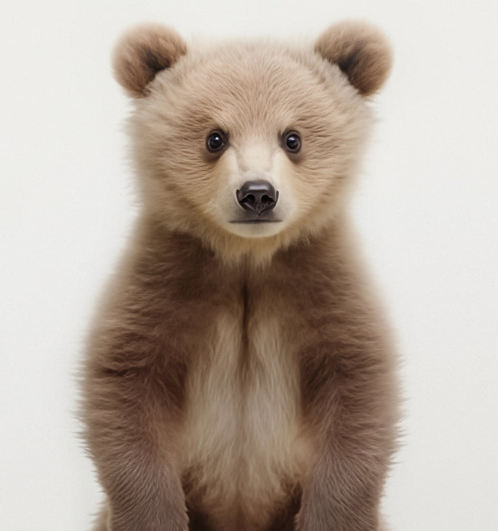 Studio Bear Art Print