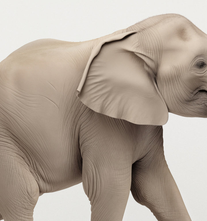 Studio Elephant Art Print