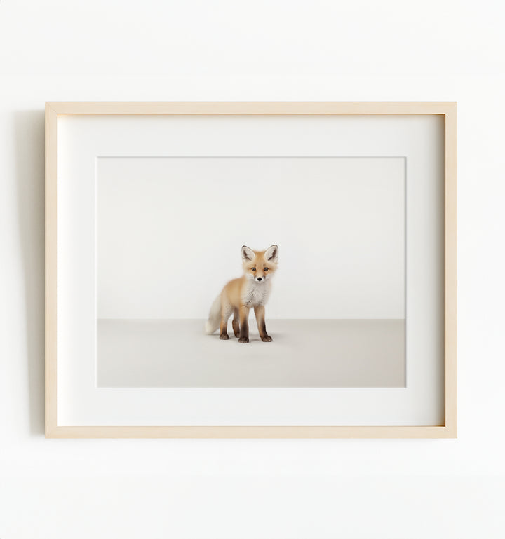 Studio Fox Art Print