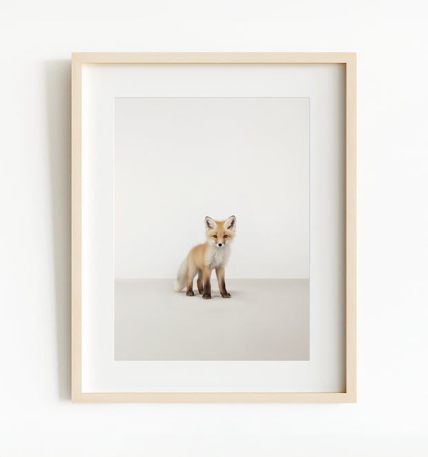 Studio Fox Art Print