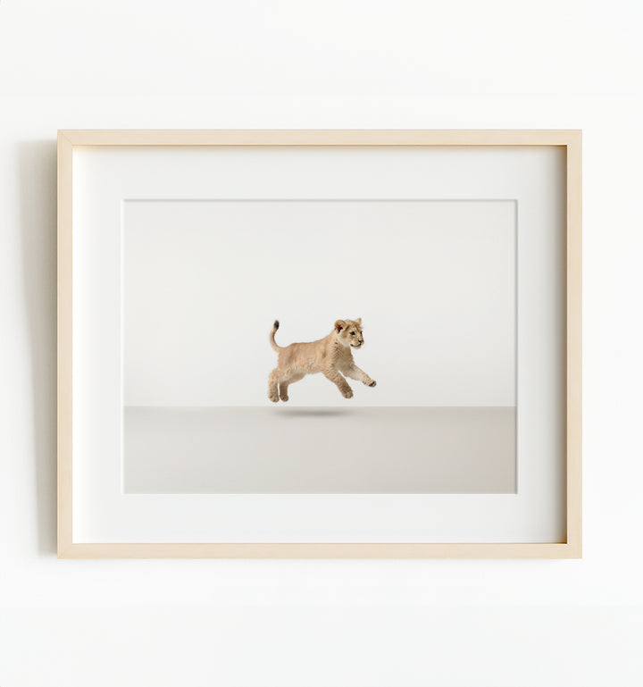 Studio Lion Art Print