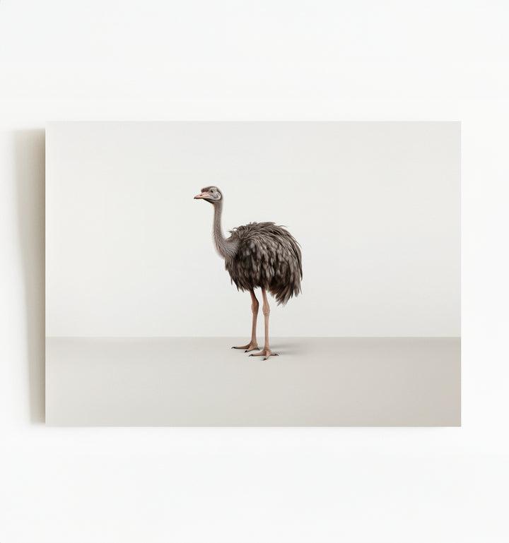 Studio Ostrich Art Print