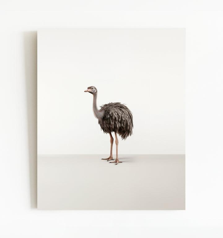 Studio Ostrich Art Print