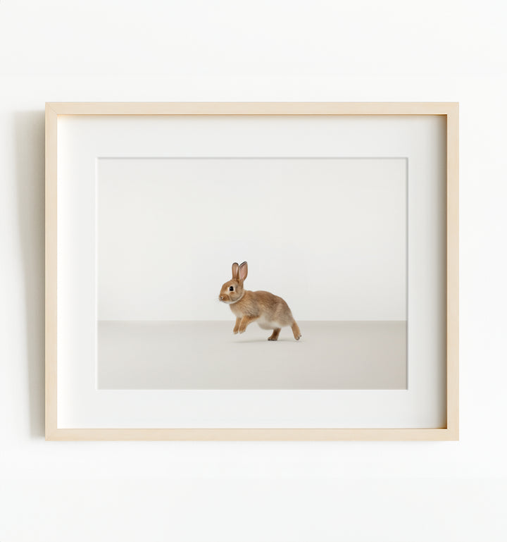 Studio Rabbit Art Print