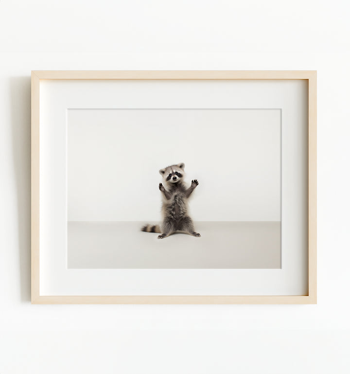 Studio Raccoon Art Print