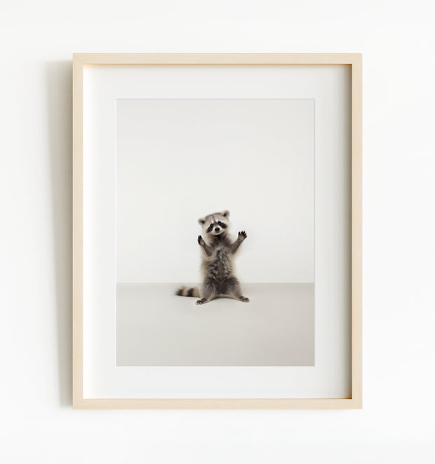 Studio Raccoon Art Print