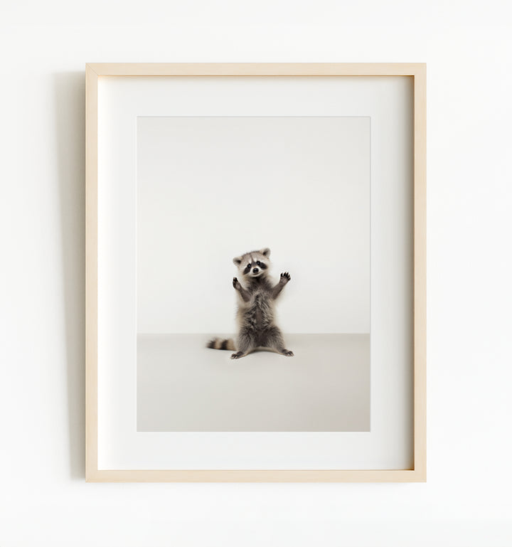 Studio Raccoon Art Print